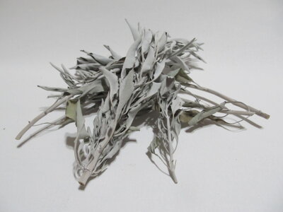 Šalvěj bílá (Salvia apiana)- celé větvičky, 30 gramů.