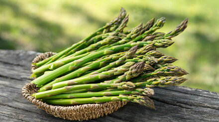 Chřest lékařský (Asparagus officinalis)