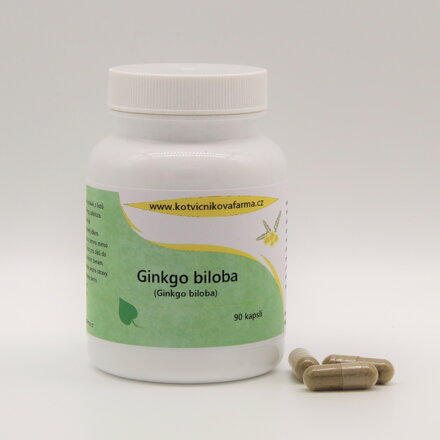 Ginkgo biloba- bylinné kapsle/90 tobolek. 