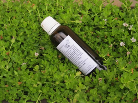 Bacopa monnieri-50 ml lékovka