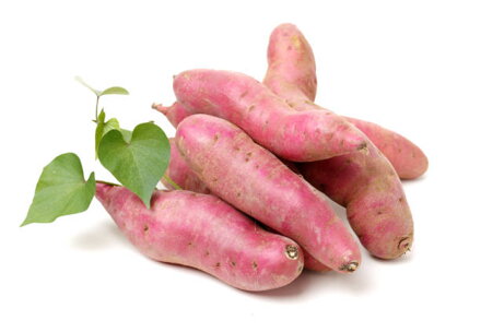 Povijnice batátová (Ipomoea batatas Erato White)