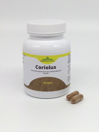 Outkovka pestrá- 40% extrakt. 90 kapslí.