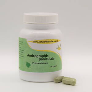 Andrographis paniculata- bylinné kapsle/90 tobolek. 