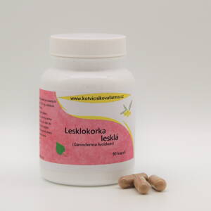 Lesklokorka lesklá (Ganoderma lucidum) / Reishi- 90 kapslí.