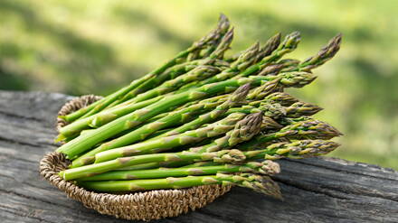Chřest lékařský (Asparagus officinalis)