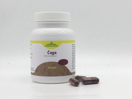 Čaga / Rezavec šikmý- 30% extrakt. 90kapslí.