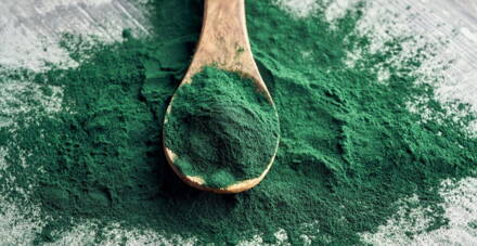 Spirulina- bylinné kapsle/90 tobolek.